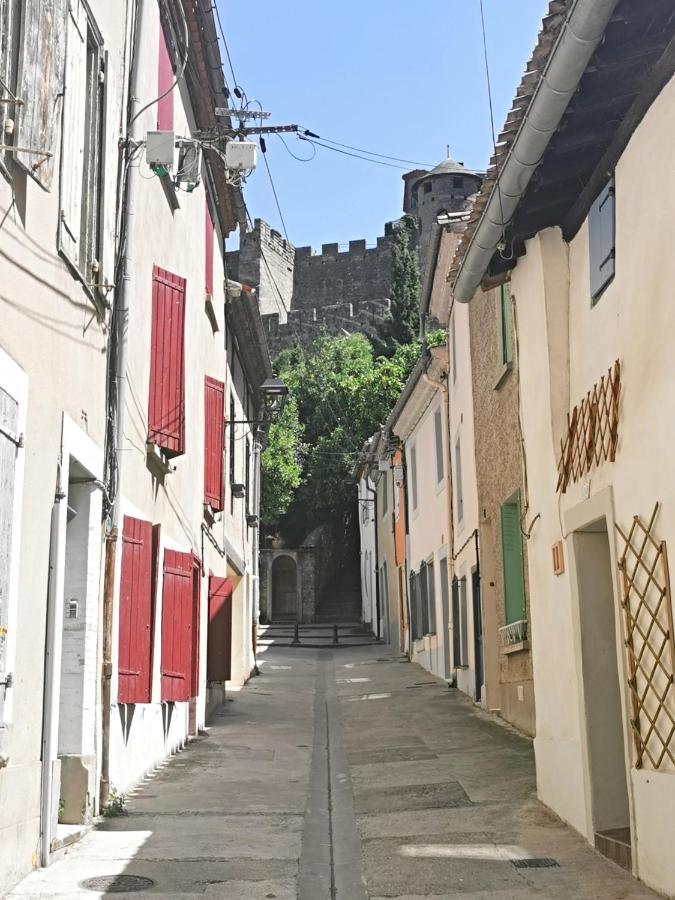 Les Remparts De Caroline, Au Pied De La Cite. Villa Carcassonne Dış mekan fotoğraf